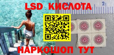 СК Моздок