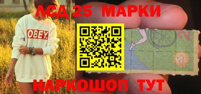 СК Моздок